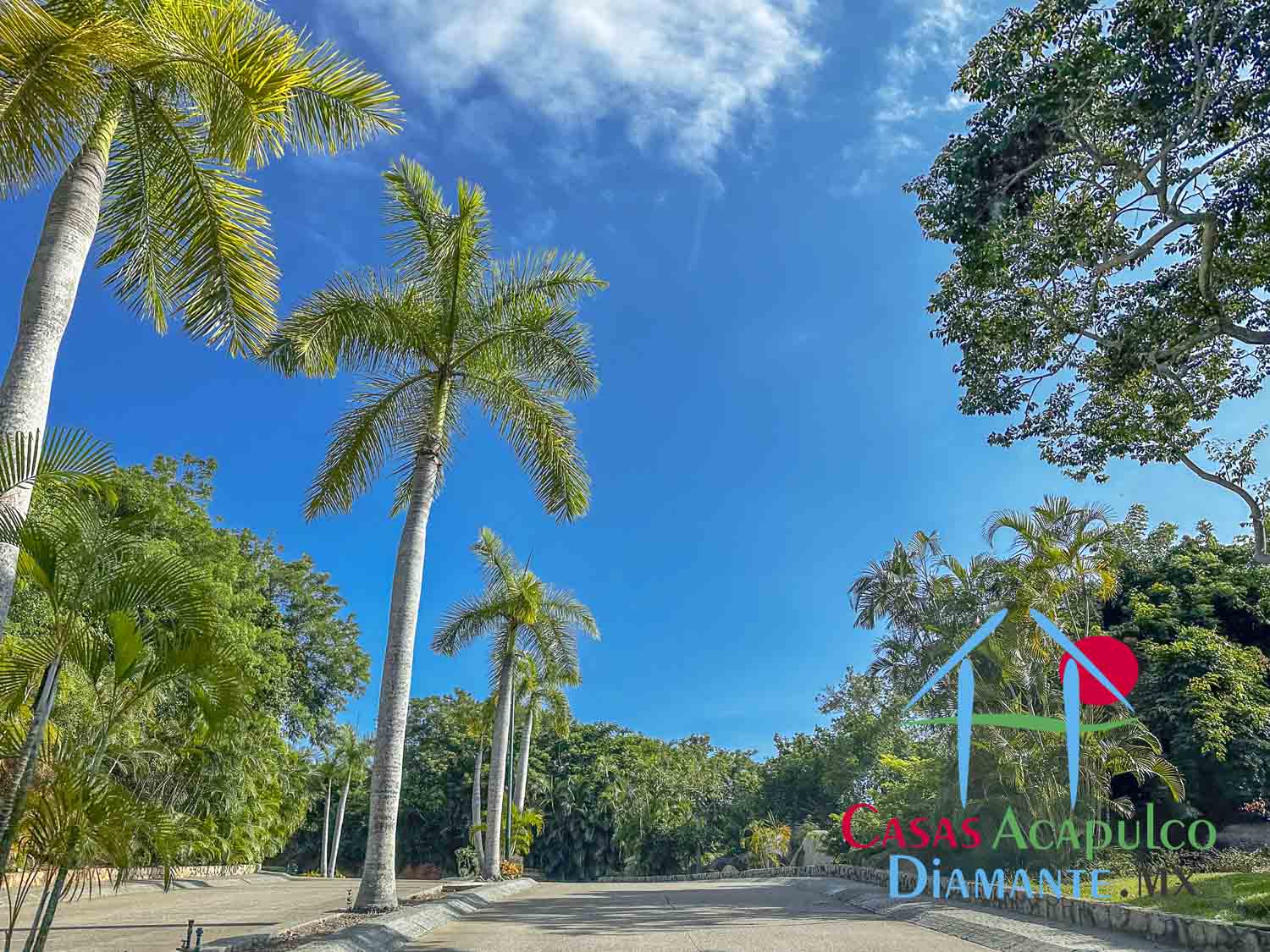 Terreno La Cima S4 L29 - Vialidades La Cima 1 Terreno La Cima S4 L29 - Vialidades La Cima 1